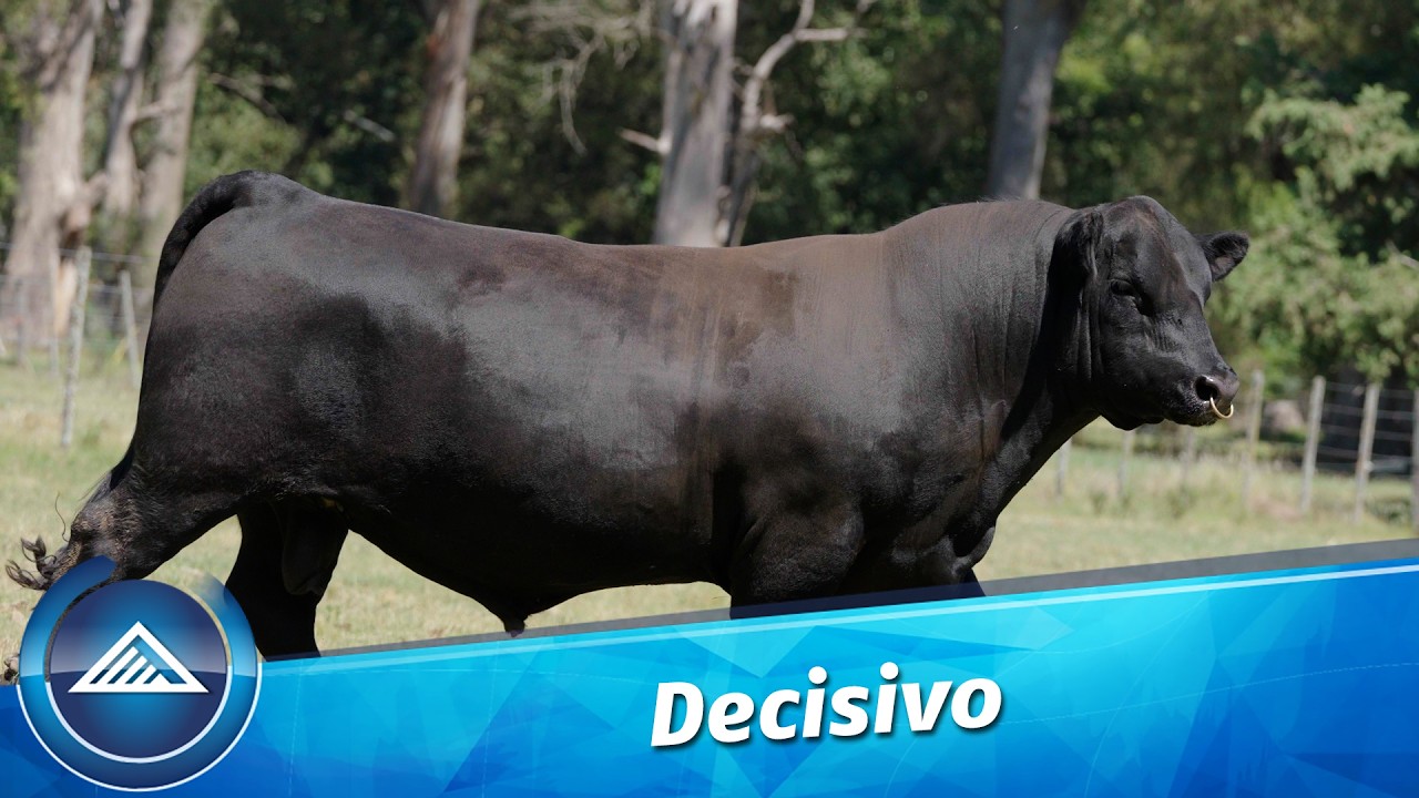 Decisivo