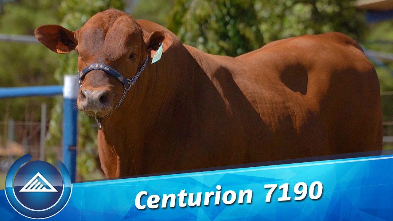 Centurion 7190