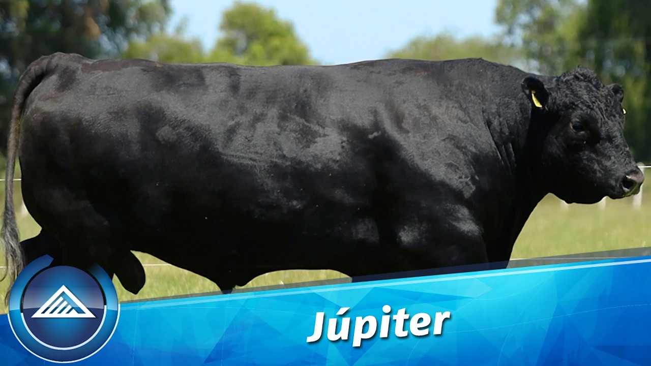 Júpiter
