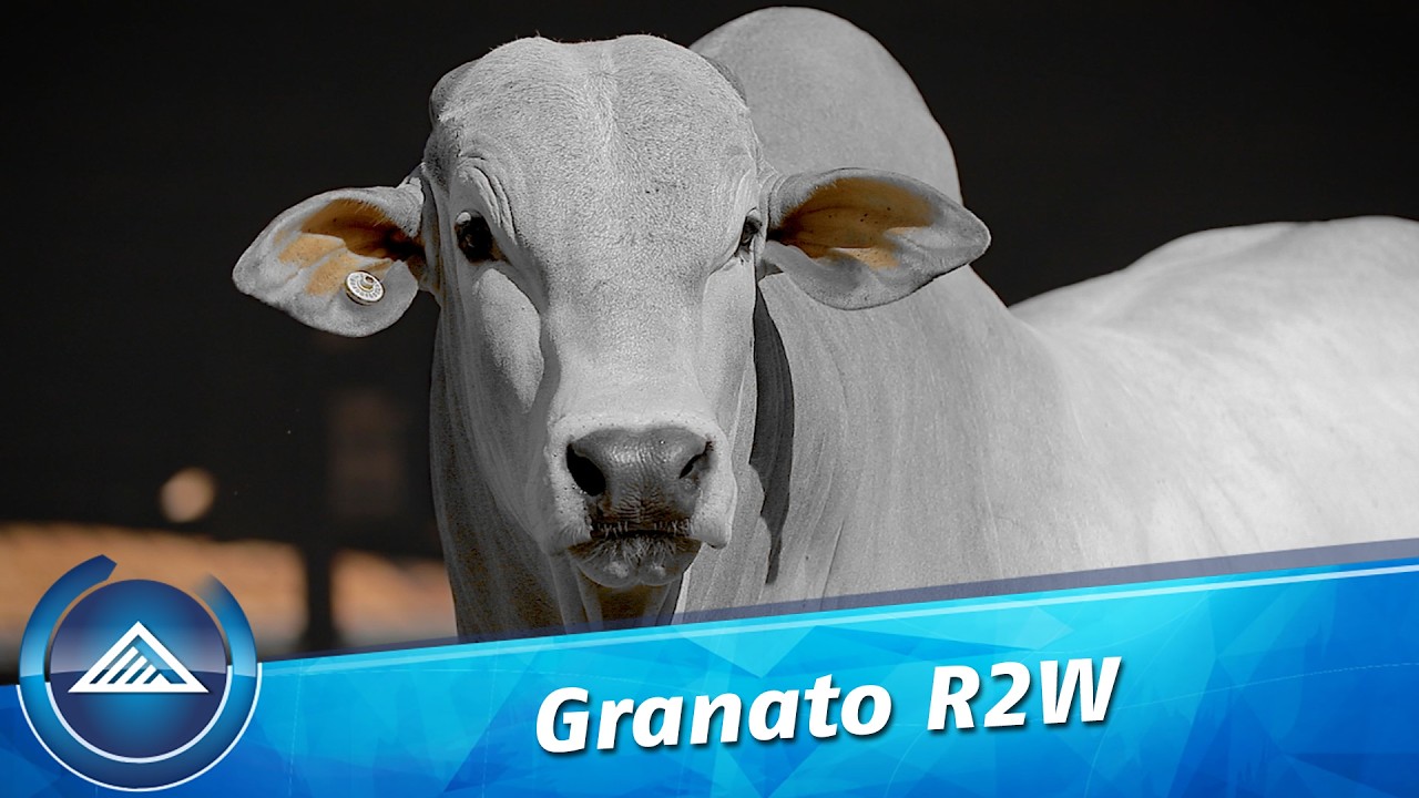 Granato R2W